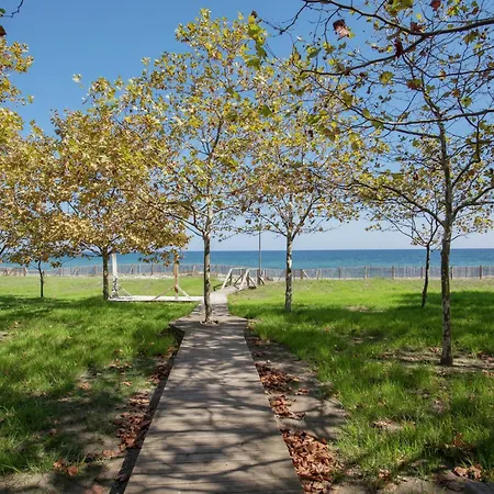 In Poggio Mezzana Near The * Santa-Lucia-di-Moriani