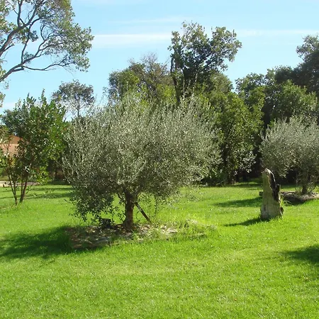 Casa de Férias In Poggio Mezzana Near The *